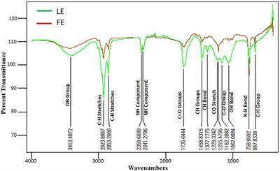 Phytochemical Characterization and Assessment of Crude Extracts From Lantana camara L. for Antioxidant and Antimicrobial Activity